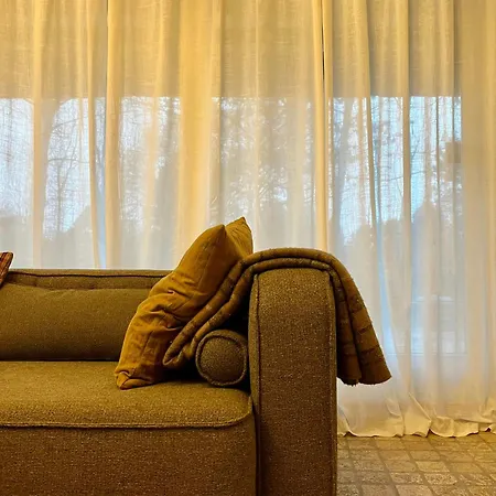 Vaer Omkranset Af Traeer I Et Strataekt Sommerhus